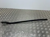 Windshield trim