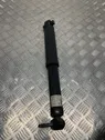 Rear shock absorber/damper