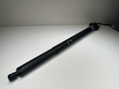 Tailgate/trunk strut/damper