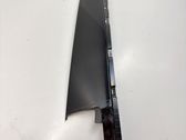 Rear door glass trim molding