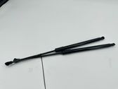 Tailgate/trunk strut/damper