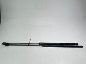 Tailgate/trunk strut/damper