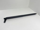 Tailgate strut