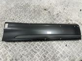 Rear door trim (molding)