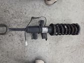 Front shock absorber/damper