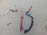 Positive wiring loom