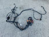 Other wiring loom
