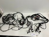 Faisceau de câblage pour installation électrique