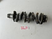 Vilebrequin du moteur