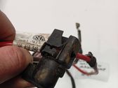 Rear door wiring loom