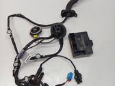 Front door wiring loom