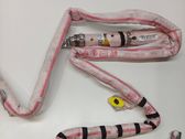 Roof airbag