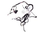 Other wiring loom
