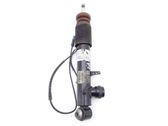 Rear shock absorber/damper