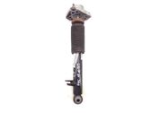 Rear shock absorber/damper