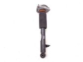 Rear shock absorber/damper