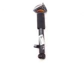 Rear shock absorber/damper