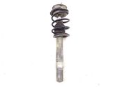 Front shock absorber with coil spring
