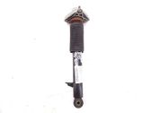 Rear shock absorber/damper