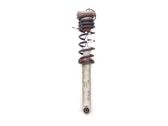 Rear shock absorber/damper