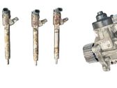 Fuel injection system set