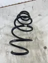 Front coil spring