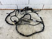 Tailgate/trunk wiring harness