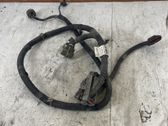 Other wiring loom