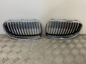 Front bumper upper radiator grill