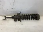 Front shock absorber with coil spring