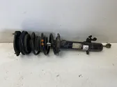 Front shock absorber with coil spring