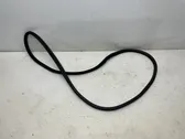 Front door rubber seal