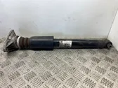 Rear shock absorber/damper