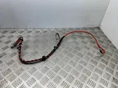 Positive cable (battery)