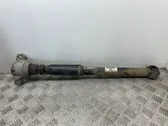 Rear shock absorber/damper