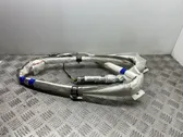 Airbag del techo