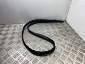 Front door rubber seal