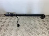 Tailgate/trunk strut/damper