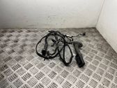 Front door wiring loom