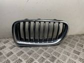 Front bumper upper radiator grill