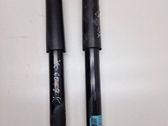 Rear shock absorber/damper
