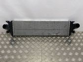 Intercooler radiator