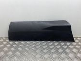 Rear door trim (molding)