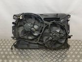 Radiator set