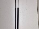 Tailgate/trunk strut/damper
