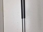 Tailgate/trunk strut/damper