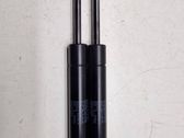 Tailgate/trunk strut/damper