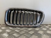 Front bumper upper radiator grill