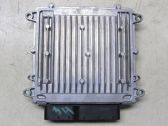 Engine control unit/module ECU
