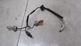 Rear tail light wiring loom